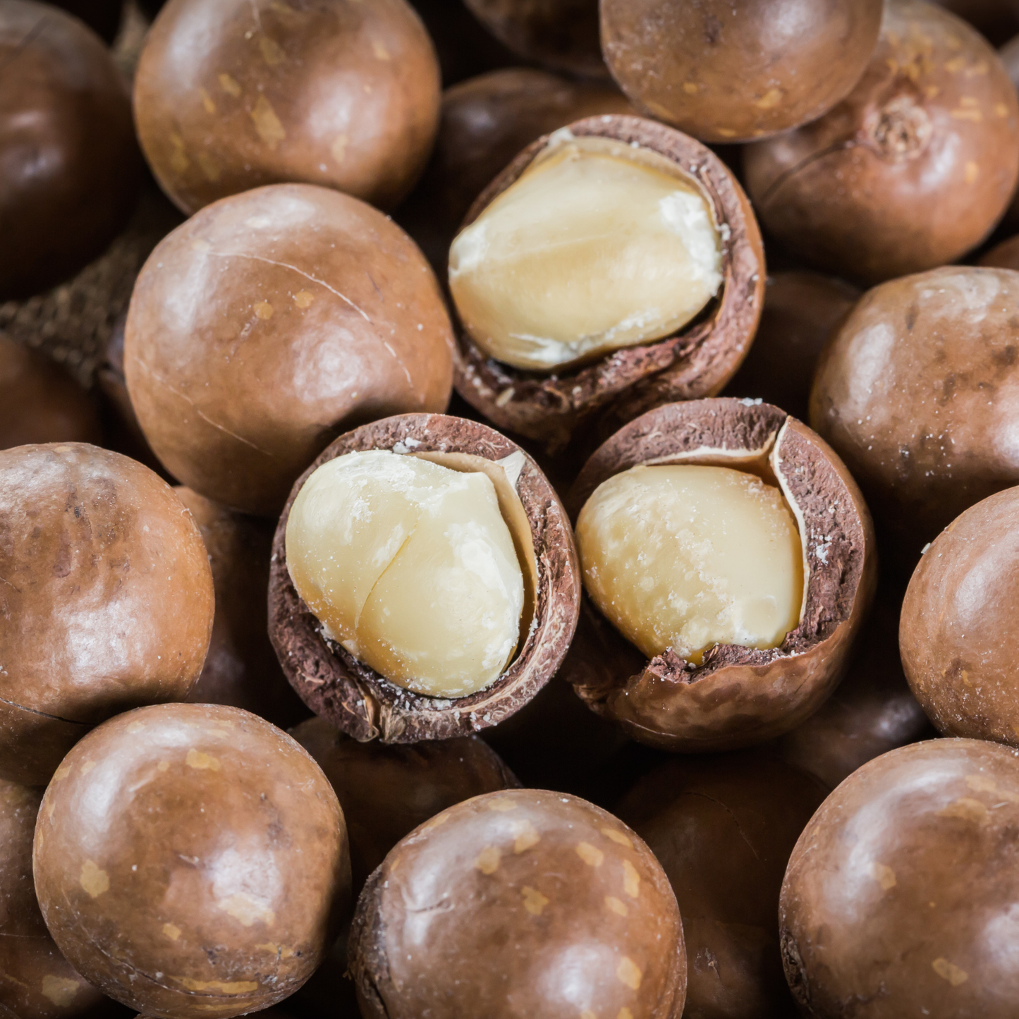 Hạt mắc ca Úc Farmers Fine Foods 170 g (Hộp thiếc)